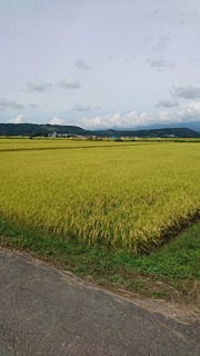 _20160915_190735-10db3.JPG